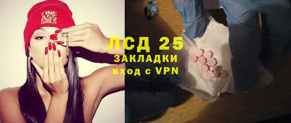 хмурый Алзамай