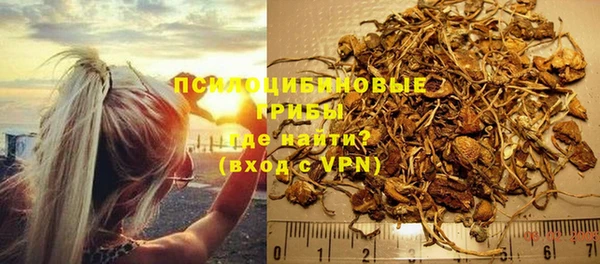 хмурый Алзамай