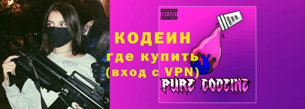 хмурый Алзамай