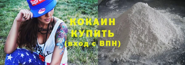 хмурый Алзамай