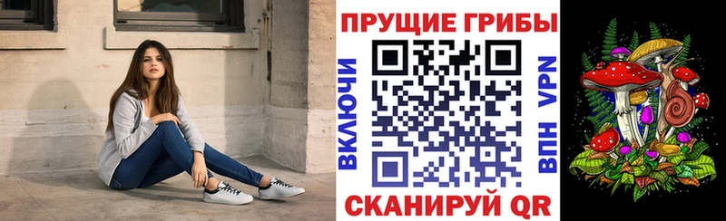 купить закладку Пенза Галлюциногенные грибы мухоморы