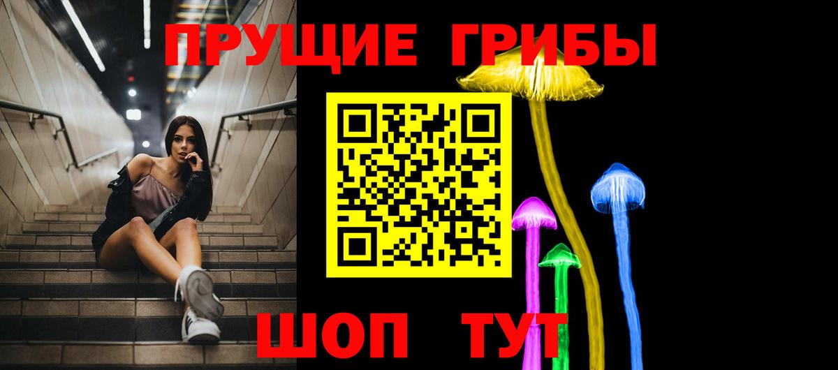 Пенза  Галлюциногенные грибы прущие грибы  Вход с VPN 